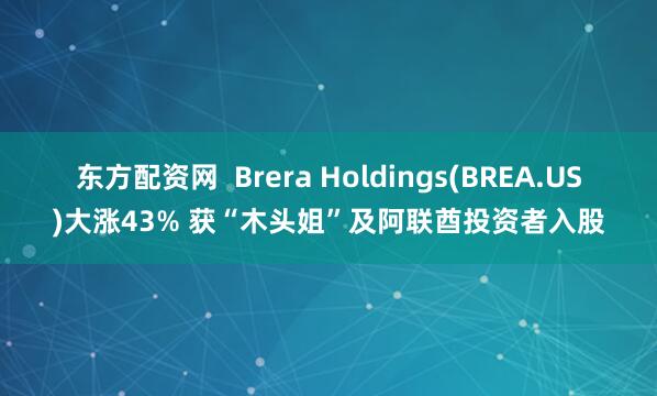 东方配资网  Brera Holdings(BREA.US)大涨43% 获“木头姐”及阿联酋投资者入股